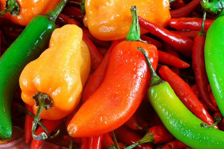 Los pimientos picantes pueden ayudar a aumentar el metabolismo.