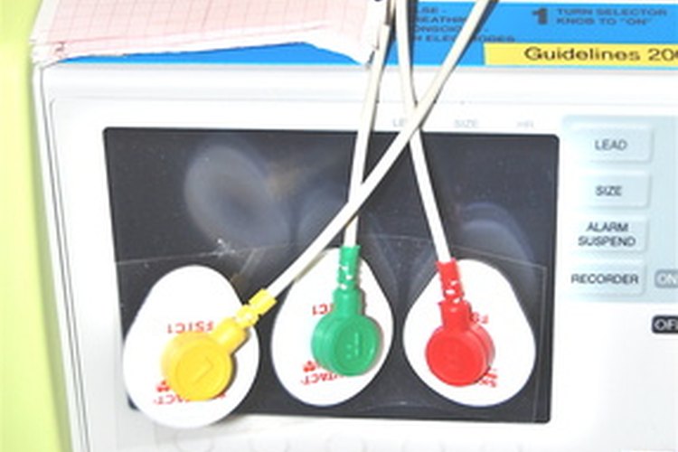 Tanto los electrocardiogramas y ecocardiogramas miden la salud del corazón y el comportamiento, pero de maneras diferentes.