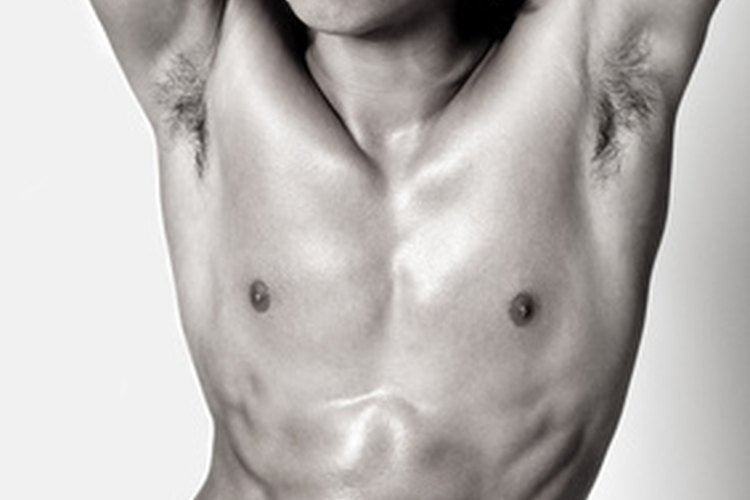 Cuerpo de modelo.