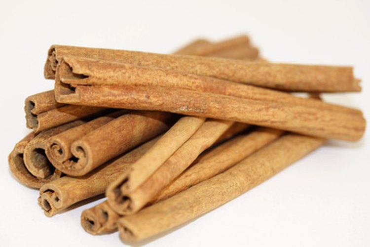 Canela.