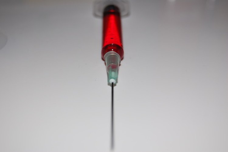 Un análisis de sangre es posible y puede verificar los niveles hormonales, la prueba no siempre es exacta o práctica, y los falsos positivos son comunes, especialmente en camadas pequeñas.