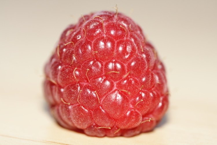 Una frambuesa es una fruta delicada y deliciosa.