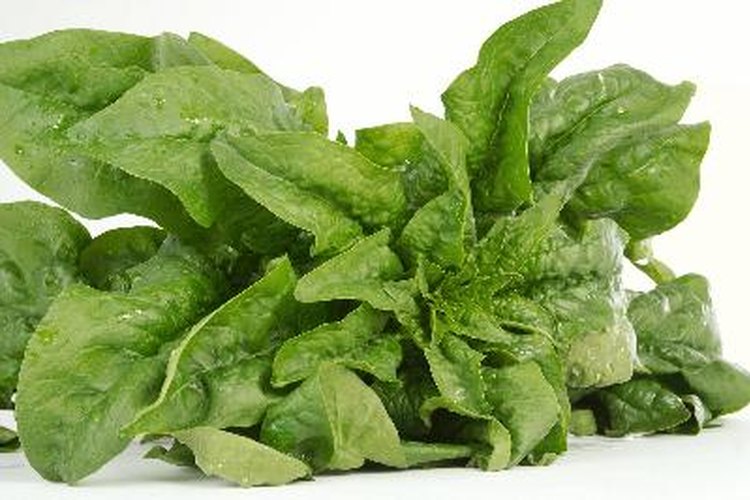 Las verduras de hoja verde oscuro como las espinacas contienen altas cantidades de vitamina K.