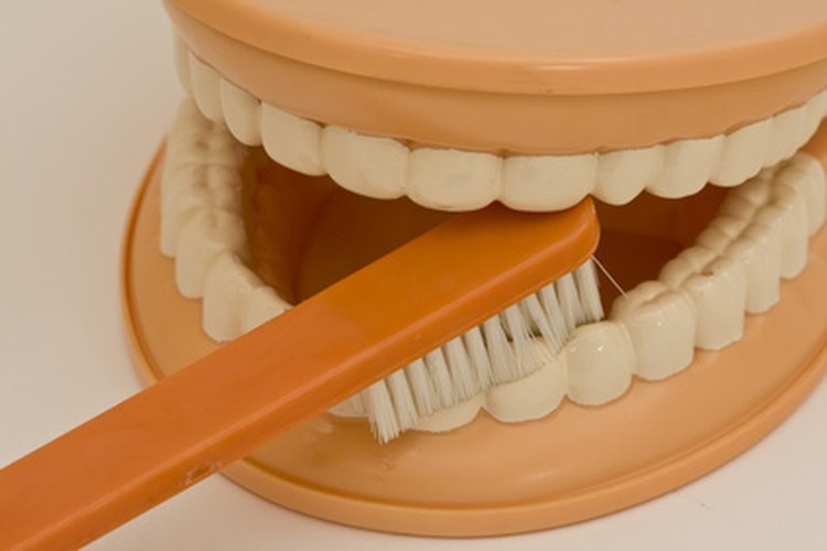 La higiene dental es la clave para evitar las infecciones.