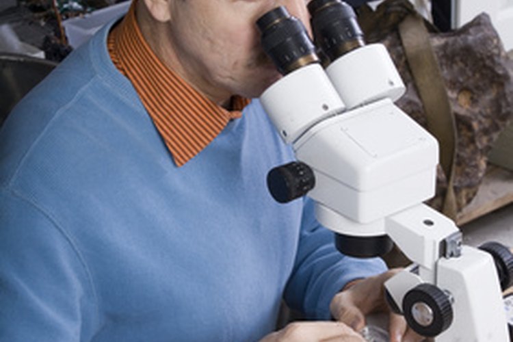 El estudio histológico para observar los tejidos se hace a partir de las biopsias de pacientes y aspiraciones con aguja fina.