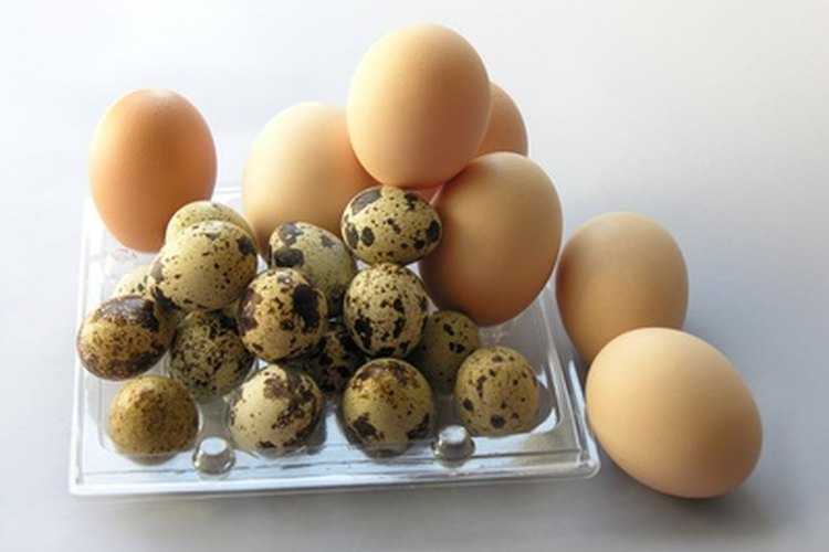 Algunos tipos de vegetarianos incluyen huevos en su dieta.
