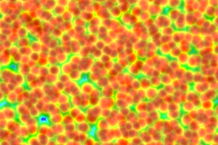 Las células hepáticas mueren rápidamente al estar fuera del cuerpo.