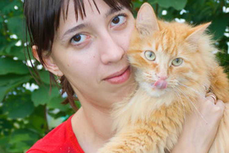 Observar de cerca a tu gato puede ayudar a detectar enfermedades pronto.