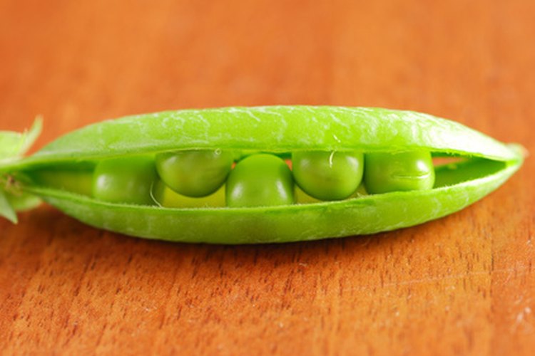 La soja se come cruda o transformada en muchos alimentos comunes.