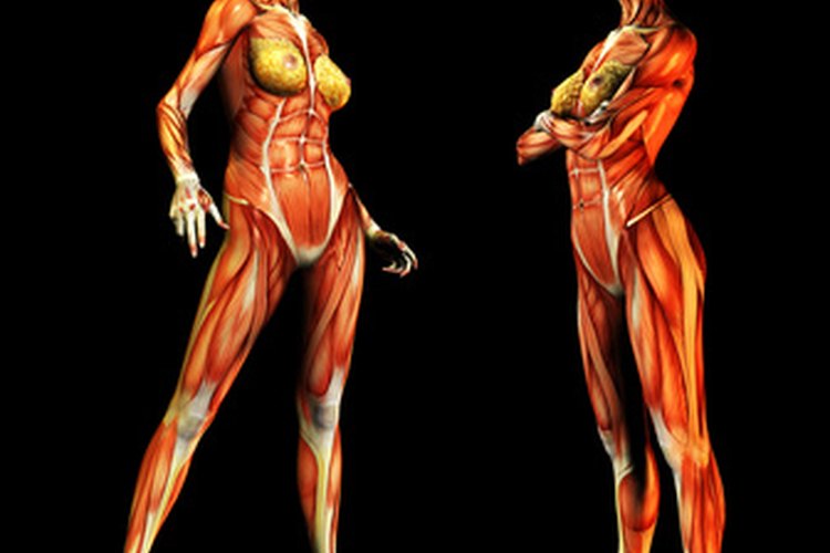 Desgarre muscular.