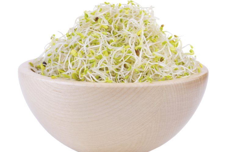 Los brotes de alfalfa tienen un alto riesgo de ser GMO.