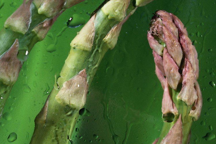 Los espárragos también son ricos en vitaminas y minerales.