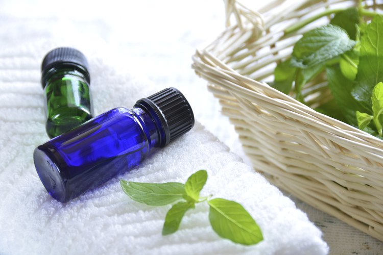 peppermint-oil-pregnancy-leaftv