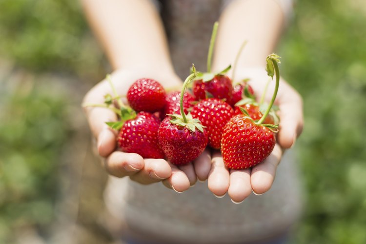 La fructosa es un tipo de azúcar que se encuentra naturalmente en las frutas.