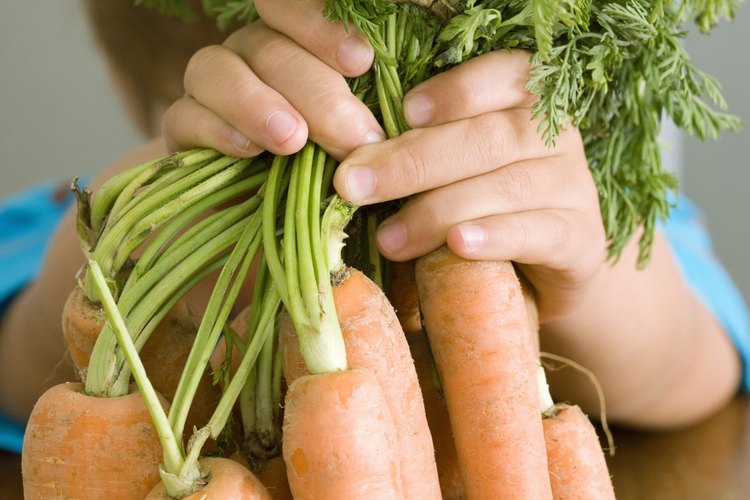 Las zanahorias actúa como una fibra soluble que asiste a la digestión.