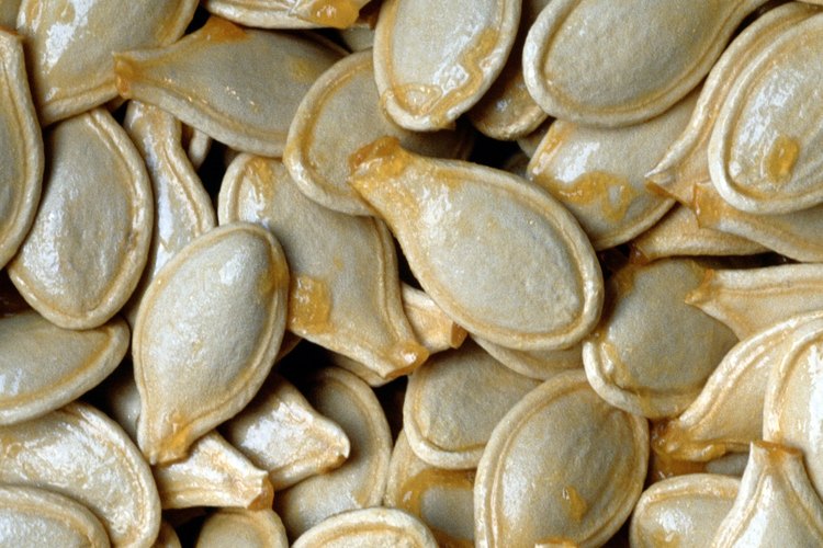 Las semillas enteras de calabaza son ricas en fibra dietética.