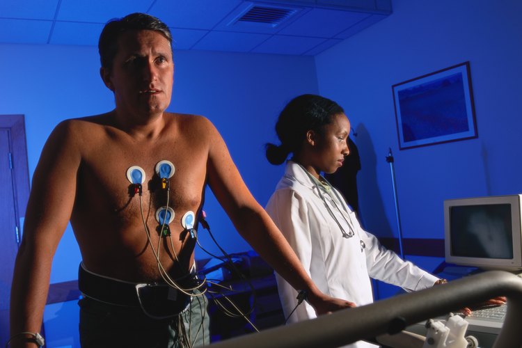 Todos los órganos del cuerpo se benefician de un sistema cardiovascular eficiente.
