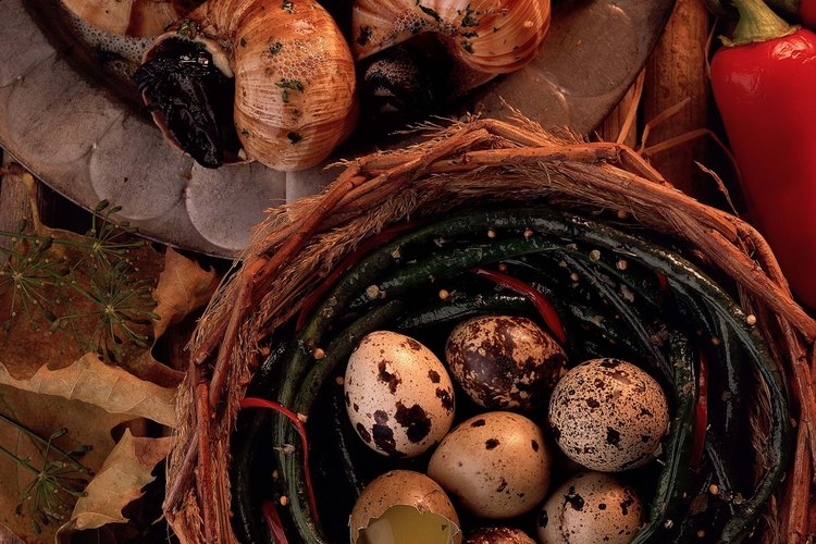Los huevos de codorniz te brindan proteína, hierro y colina.