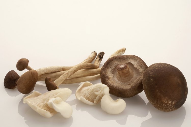 Prueba una variedad de hongos comestibles por sus beneficios para la salud.