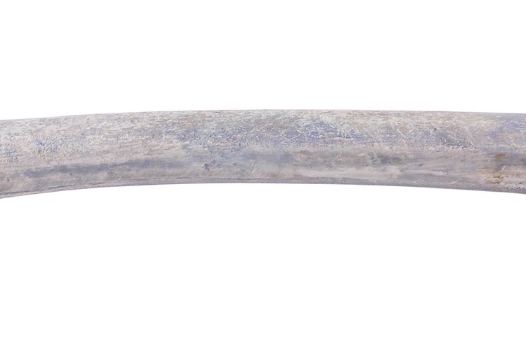 Los huesos compactos contienen diminutas capas cilíndricas que rodean los vasos sanguíneos, permitiendo el ingreso de oxígeno y nutrientes a las células.