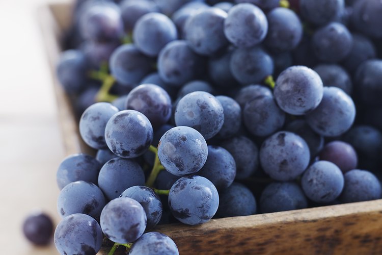 Consume frutas y vegetales frescos.