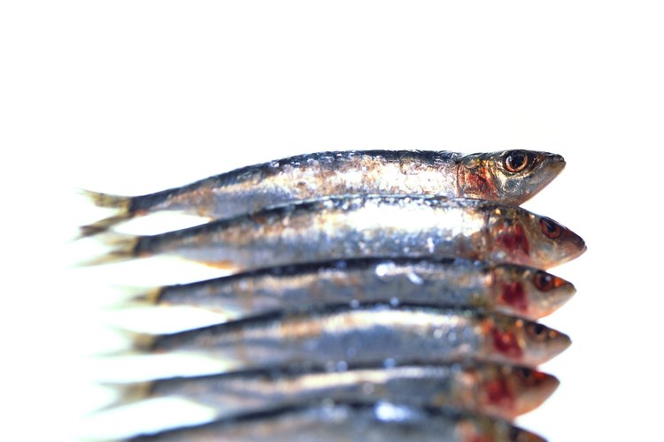 Las sardinas reducen el riesgo de enfermedad cardíaca.