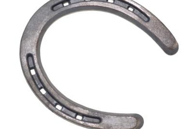 8 Types of Horseshoes and How They're Different – Farm House Tack