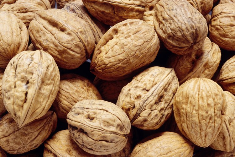 La nueces son el fruto seco más estudiado por los científicos.
