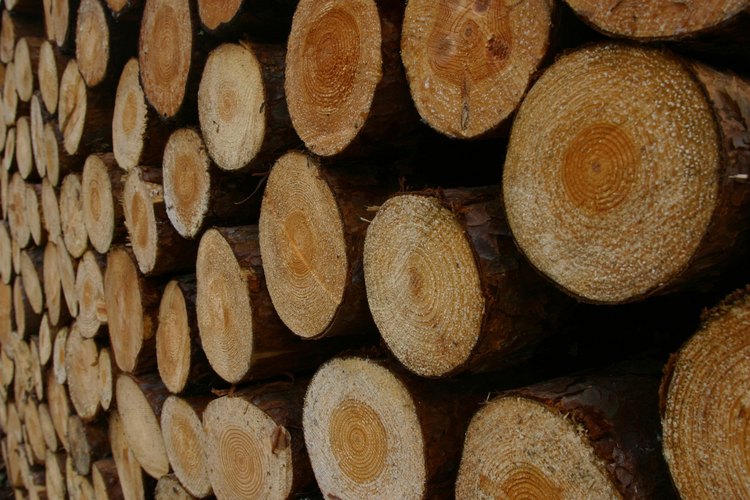 Hemera Technologies/AbleStock.com/Getty Images A kiosk at the campground sells firewood, which is illegal to collect from the surrounding forest.
