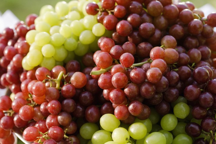 Uvas frescas.