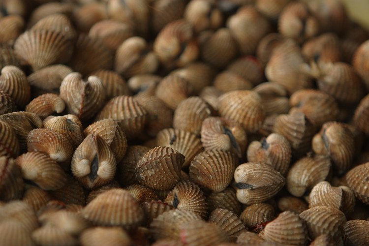 La carne de cangrejo y otros mariscos eran considerados tabú para personas que cuidan sus niveles de colesterol.