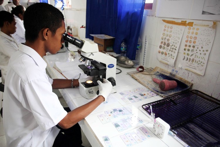 Para ver los protozoos necesitas la ayuda de un microscopio.