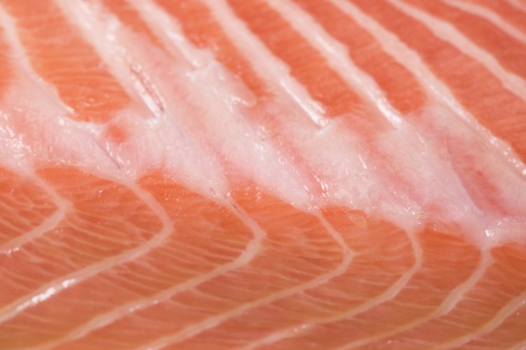 El salmón contiene ácido eicosapentanoico, un ácido graso omega 3 que diluye la sangre.