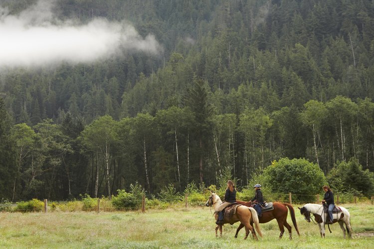 Muchas expediciones por Alaska en caballo incluyen todas las comidas y bocadillos.