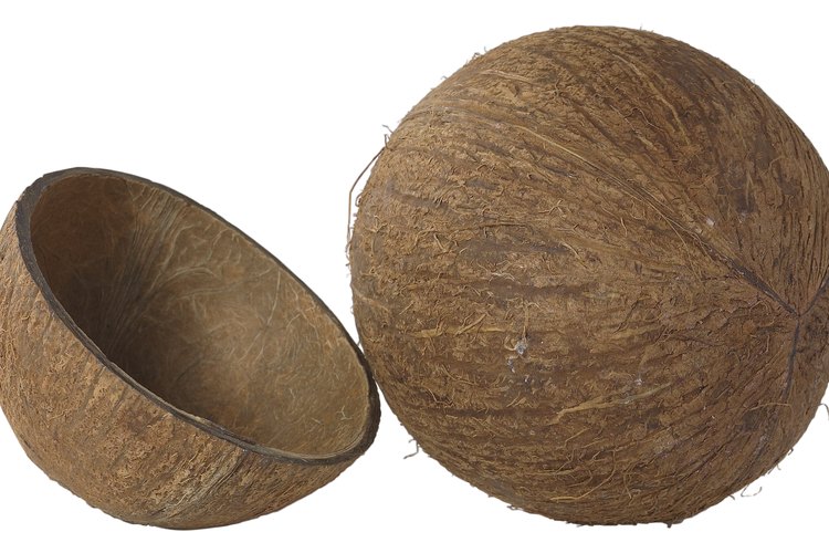 El azúcar de coco se hace de la savia del árbol de coco.