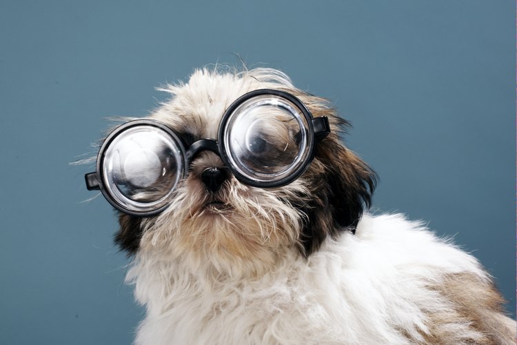 La mayoría de las personas utilizan soluciones multipropósito para sus lentes de contacto.