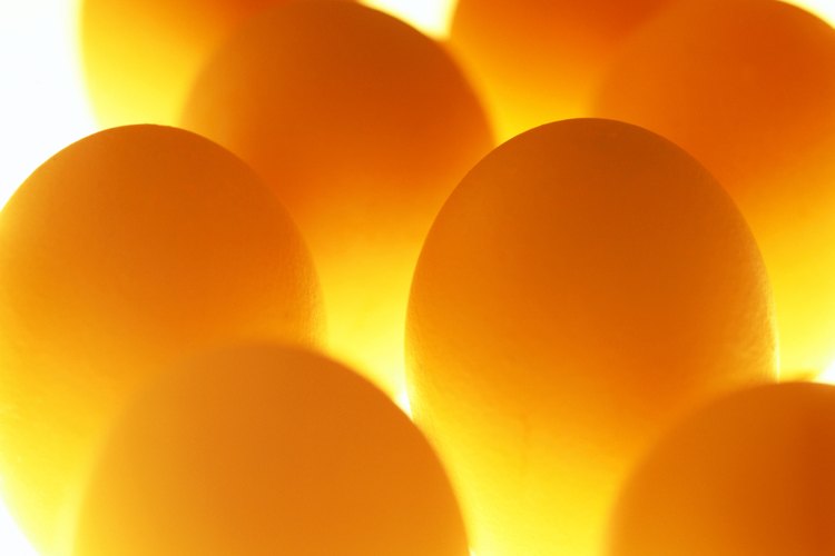 Los huevos están llenos de colesterol.