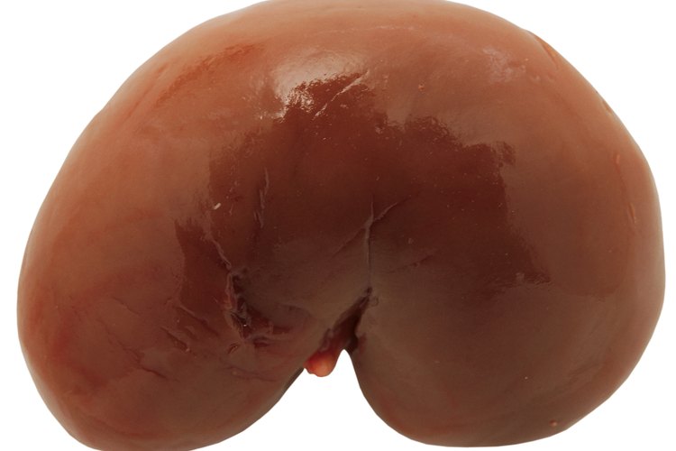 Algunas investigaciones indican que el cáñamo puede mejorar la función renal.
