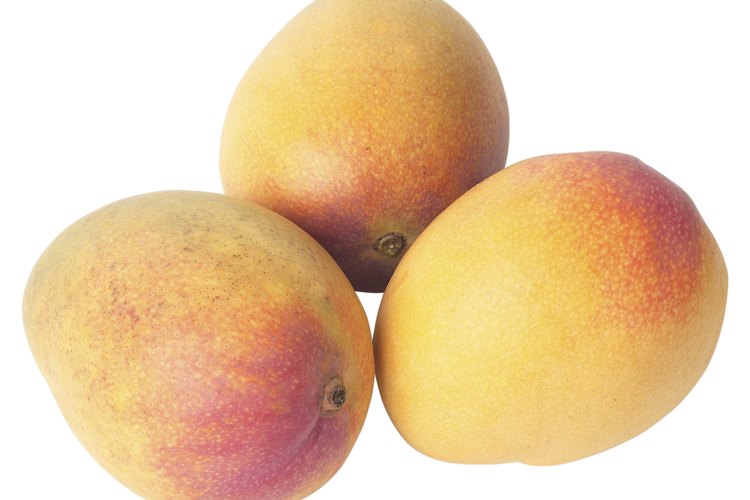 Los mangos son una de las frutas más consumidas en el mundo.