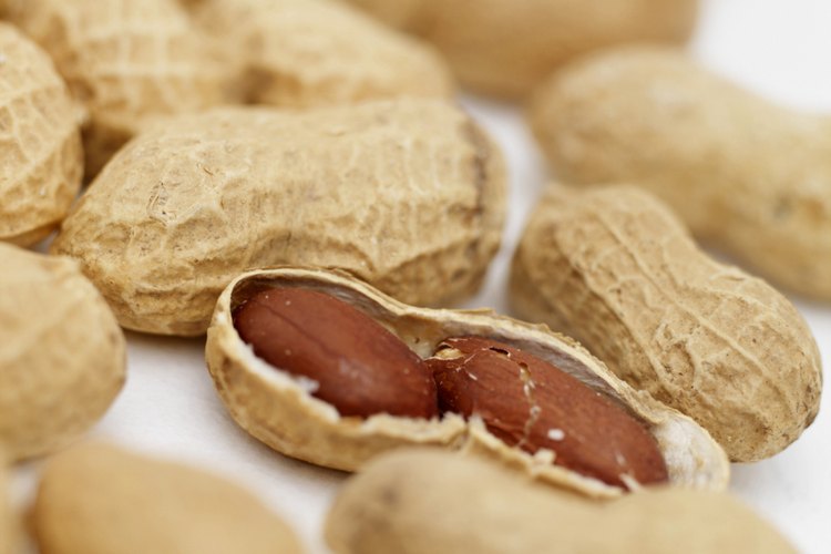 El maní (peanut) es un refrigerio saludable con moderación.