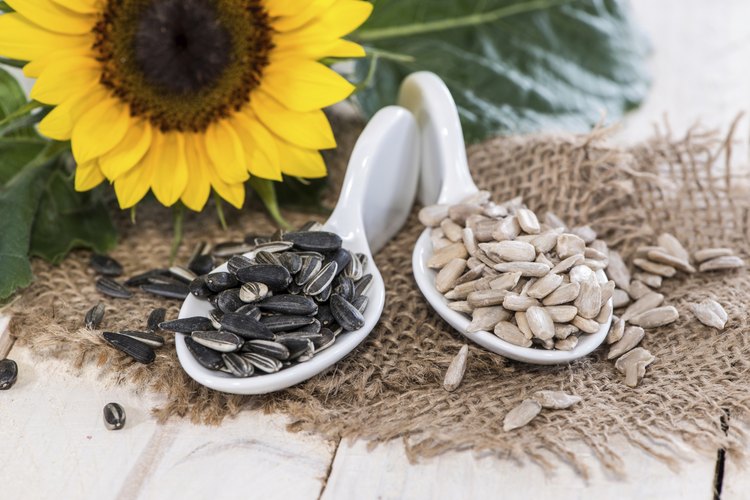 How Is Oil Extracted From Sunflower Seeds? | LEAFtv