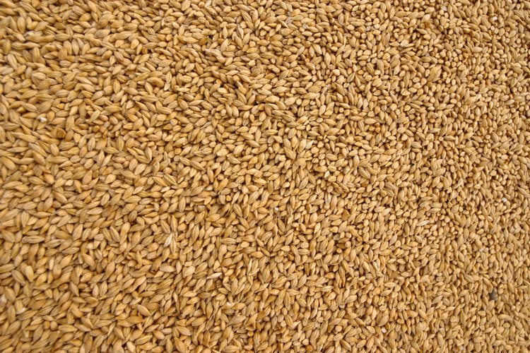 Consumir demasiada proteína de soja no es bueno para tu sistema digestivo.