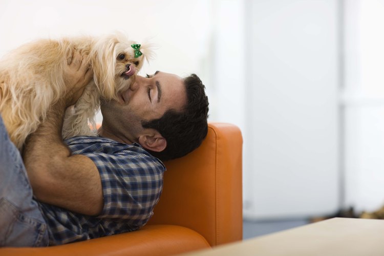 Los perros pueden ser una gran fuente de consuelo.