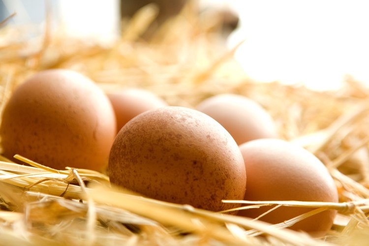Sustituye los huevos por alternativas vegetarianas.