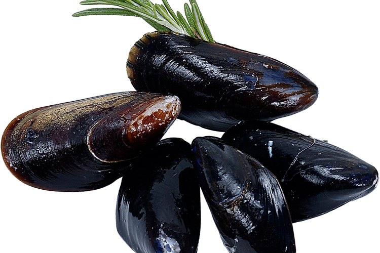 Si los mejillones no se abren después de cocinarlos, deséchalos.