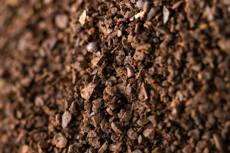 Parece que el café ayuda a que la vesícula biliar se mantenga saludable.