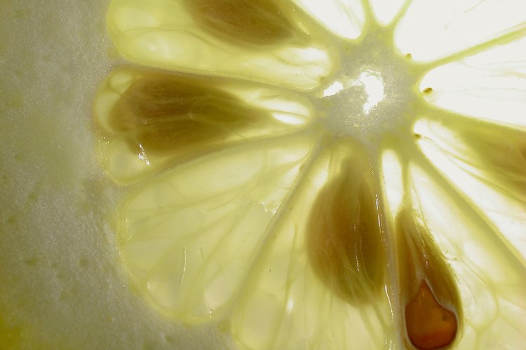 El jugo de limón supuestamente limpia el cuerpo de toxinas y promueve la pérdida de peso.