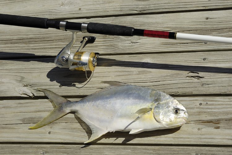 Chris Fertnig/iStock/Getty Images Pompano fish and fishing pole