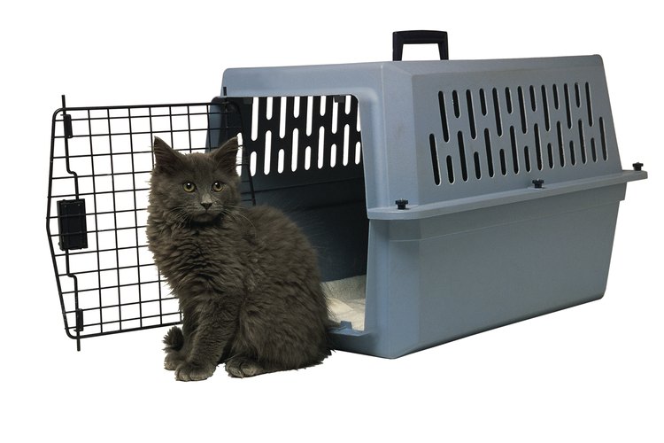 Una jaula mantendrá a tu gato seguro durante el vuelo.