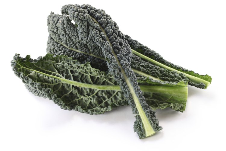 La col rizada es un vegetal de hoja verde.
